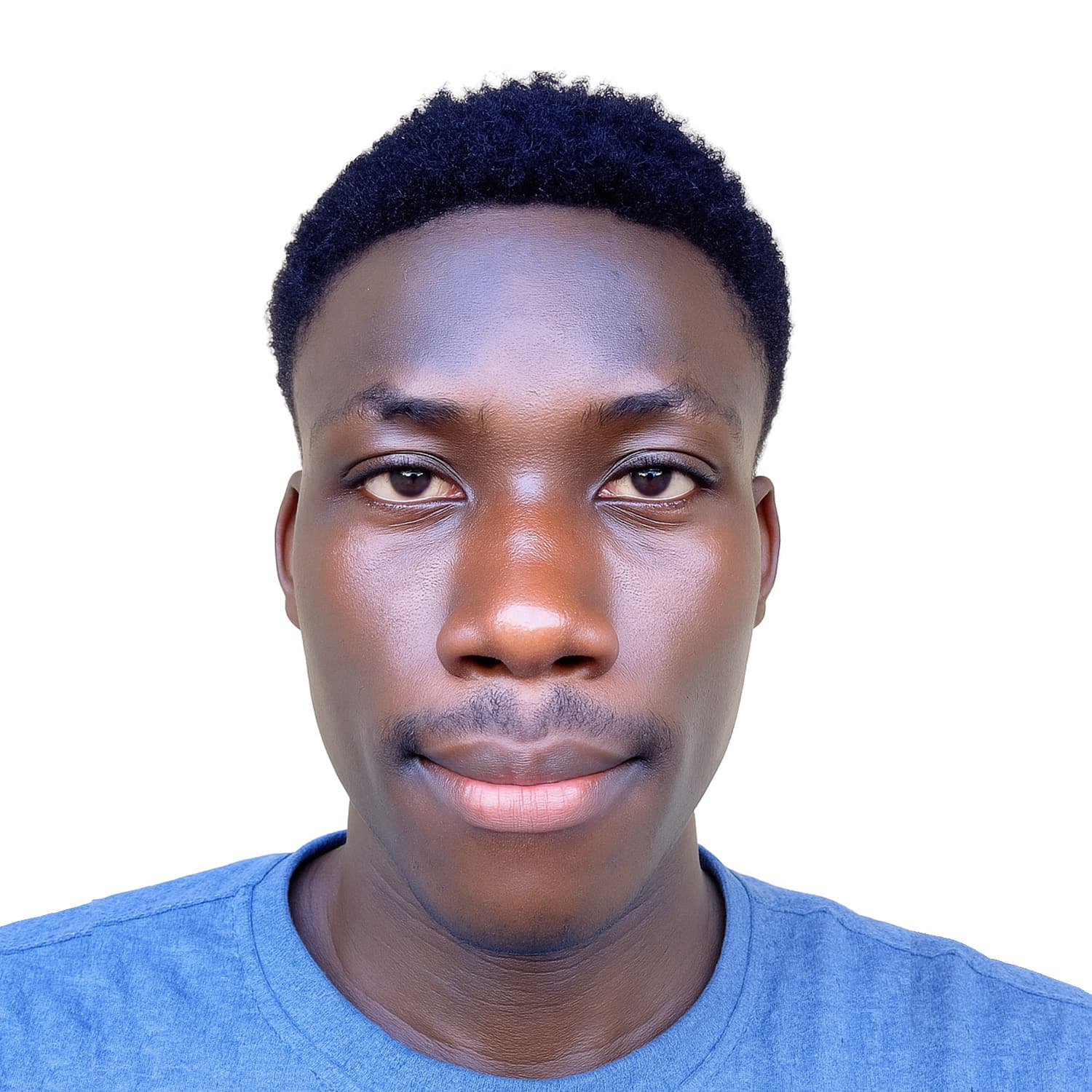 Frontend Engineer Profile